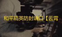 和平精英防封端口【云霄端口】何萍防封-