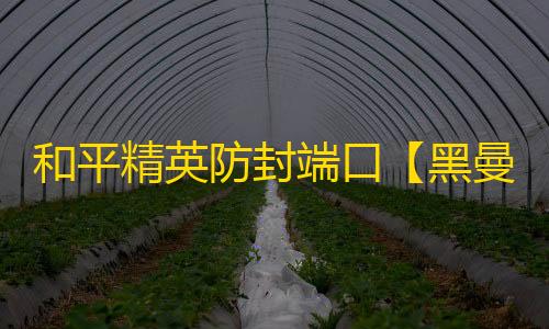 和平精英防封端口【黑曼巴】和平端囗-